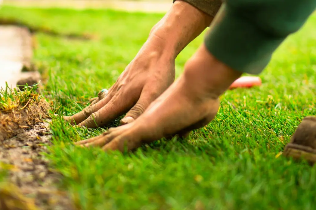 How to Prepare Your Soil for Laying Turf How to Prepare Your Soil for Laying Turf
