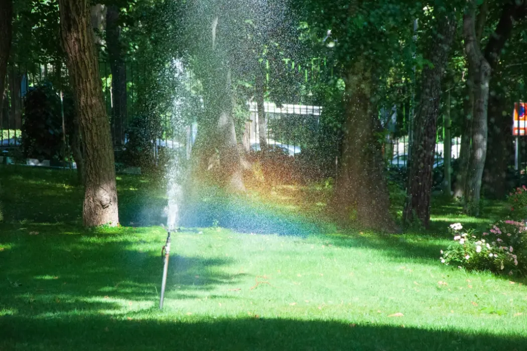 Why Consistent Watering is Critical for New Turf Growth Why Consistent Watering is Critical for New Turf Growth
